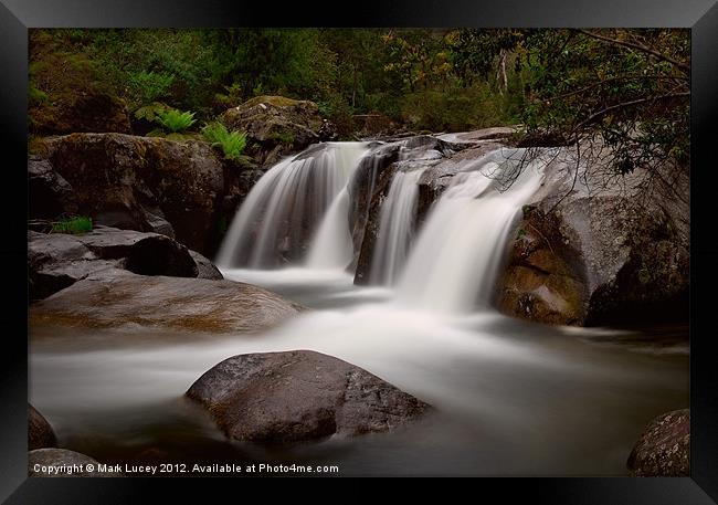 Pure of Soul Framed Print by Mark Lucey