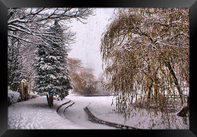 The Willow Weeps Frozen Tears Framed Print by Sandi-Cockayne ADPS