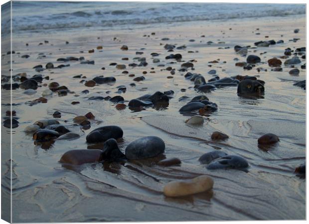 pebbles on beach Canvas Print by carin severn