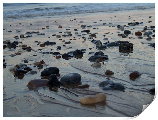 pebbles on beach Print by carin severn