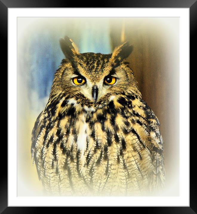 European Eagle Owl Framed Mounted Print by Jacqui Kilcoyne