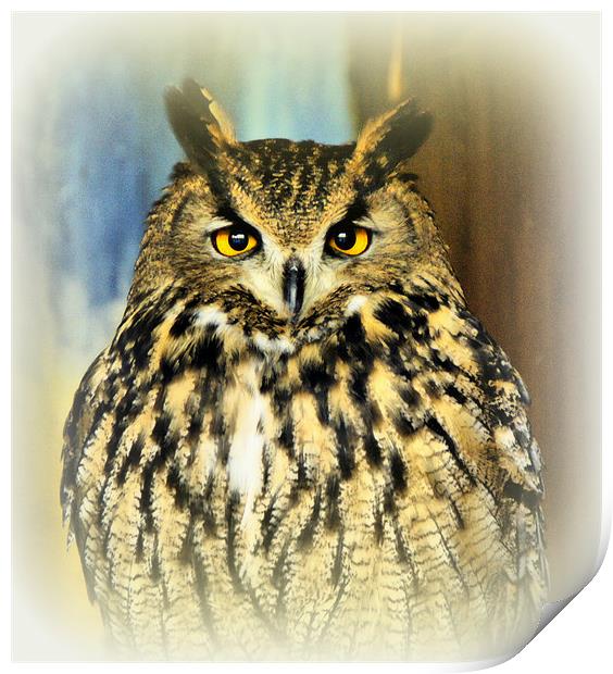 European Eagle Owl Print by Jacqui Kilcoyne