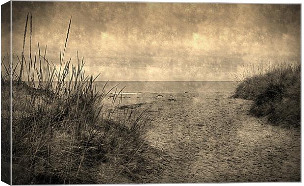 down at the beach Canvas Print by dale rys (LP)