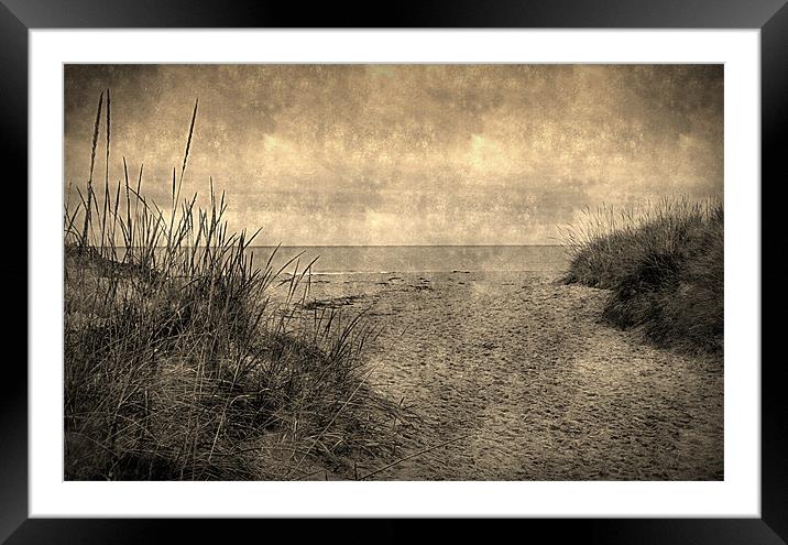 down at the beach Framed Mounted Print by dale rys (LP)