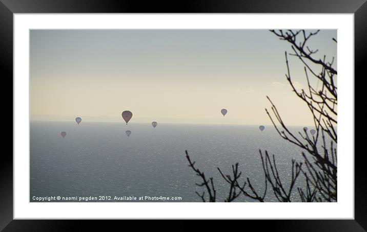 Sunny Sunday Flight Framed Mounted Print by N C Photography