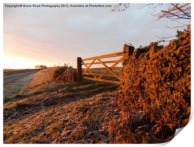 Frosty Cotswold Print by Grove Road Photography