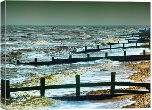 Leysdown on Sea in Winter Canvas Print by Paul Fisher
