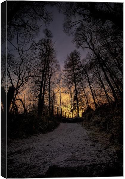 Winter Sunset Path Canvas Print by Fraser Hetherington