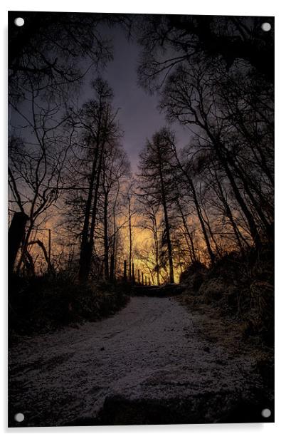 Winter Sunset Path Acrylic by Fraser Hetherington