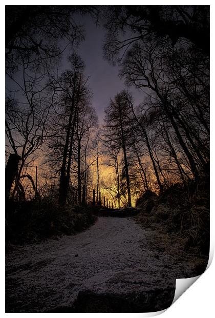 Winter Sunset Path Print by Fraser Hetherington
