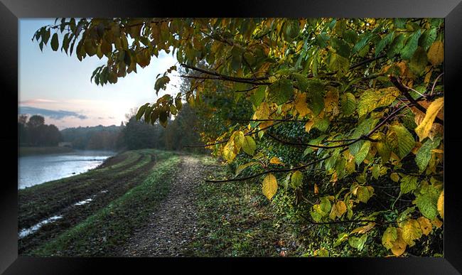Capturing Autumn Framed Print by Stephen Paul Cahill