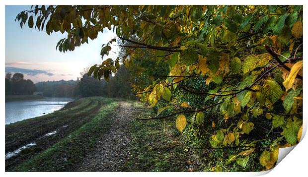 Capturing Autumn Print by Stephen Paul Cahill