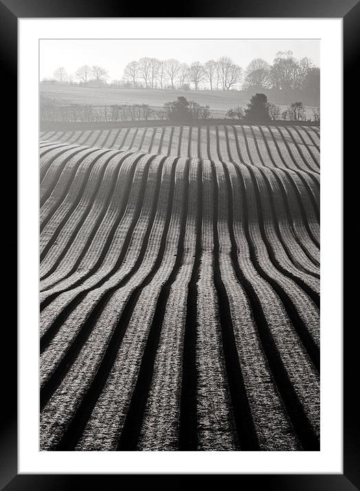 Furrowed Framed Mounted Print by Tracey Whitefoot