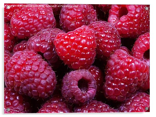 Red Raspberries Acrylic by Michael Waters Photography