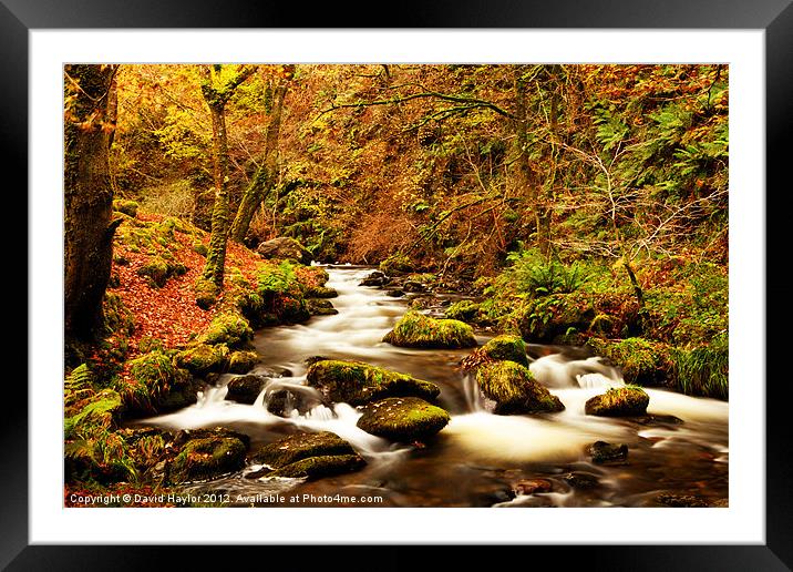 Nant Dol-goch in Autumn Framed Mounted Print by David Haylor