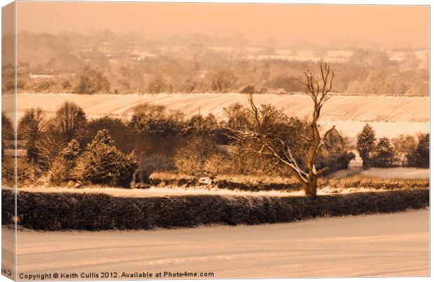 Snowscape Canvas Print by Keith Cullis