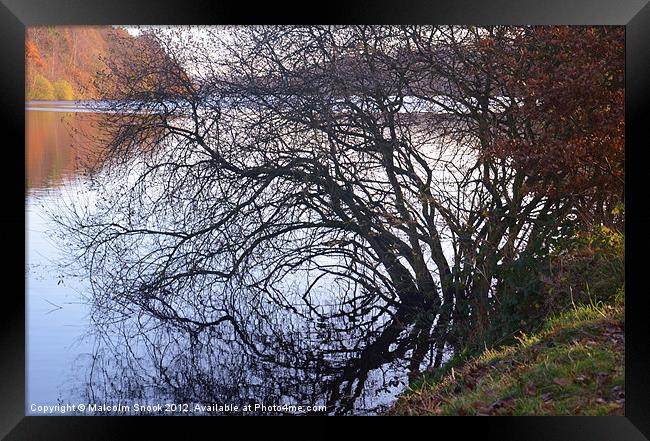 Reflections of autumn Framed Print by Malcolm Snook