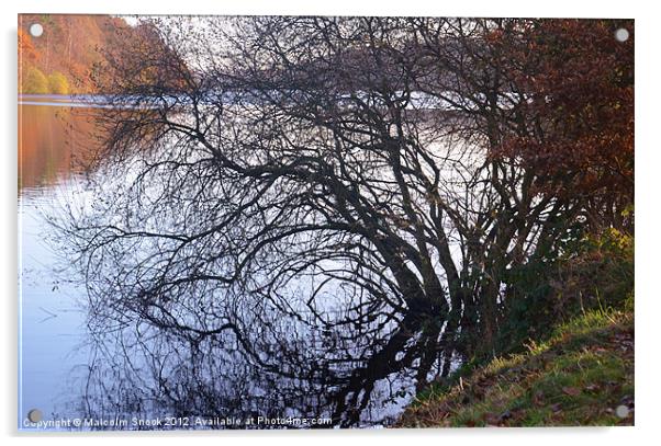 Reflections of autumn Acrylic by Malcolm Snook