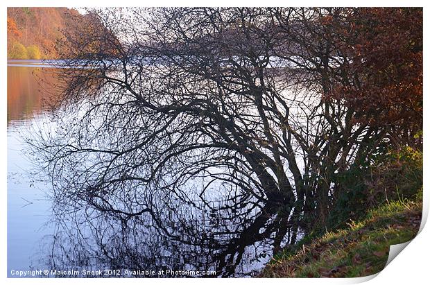 Reflections of autumn Print by Malcolm Snook