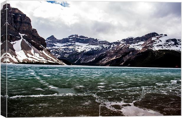 Icefields Canvas Print by Chris Hill