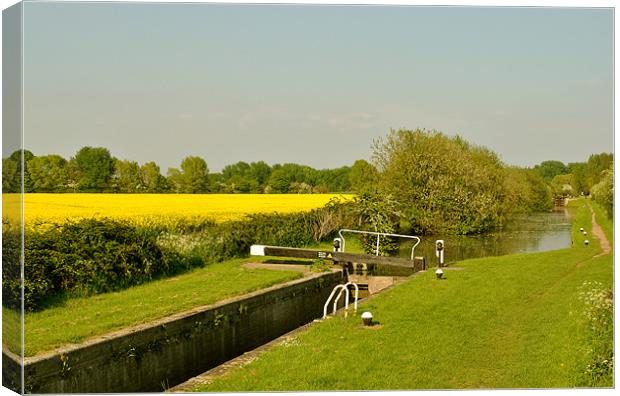 The Aylesbury Arm in Summer Canvas Print by graham young
