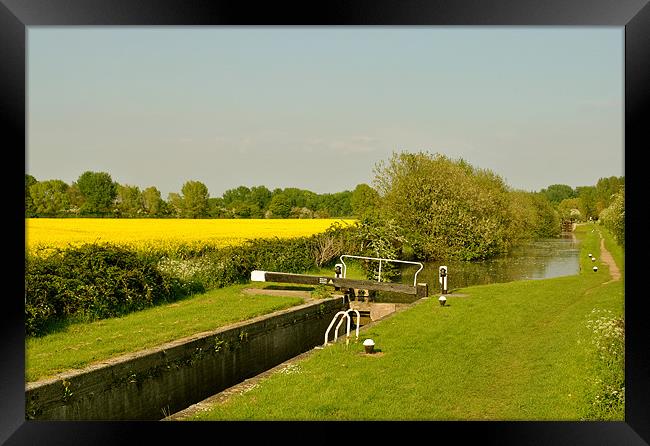 The Aylesbury Arm in Summer Framed Print by graham young