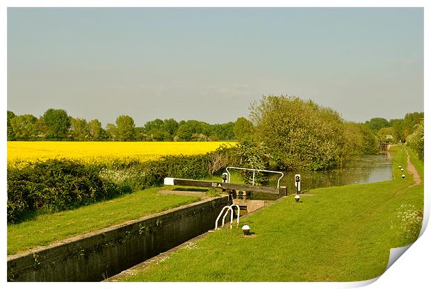 The Aylesbury Arm in Summer Print by graham young