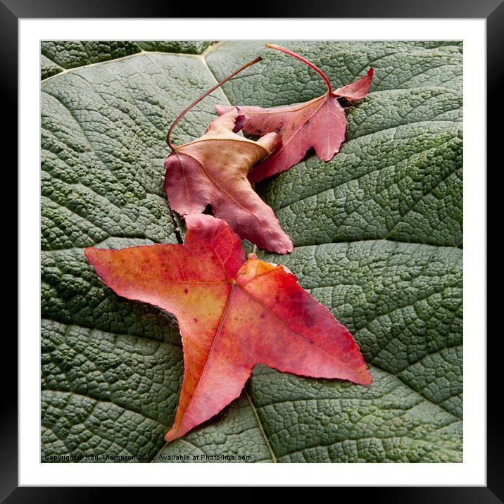 Leaves on leaf Framed Mounted Print by Karl Thompson