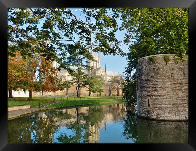 wells cathedral moat and bishopspalace Framed Print by austin APPLEBY