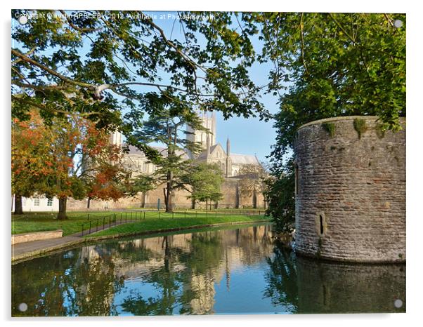 wells cathedral moat and bishopspalace Acrylic by austin APPLEBY
