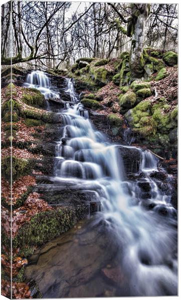 Feldy Waterfall Canvas Print by Fraser Hetherington