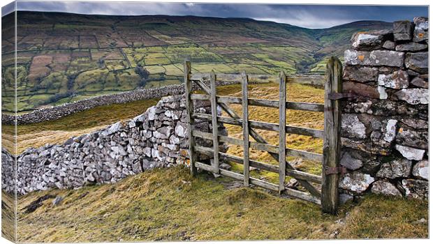 Yorkshire Dales Gate Swaledale Canvas Print by Greg Marshall