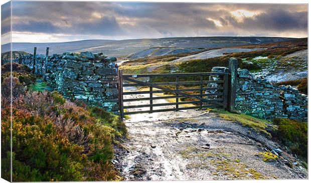 Yorkshire Dales Gate Upper Swaledale Canvas Print by Greg Marshall