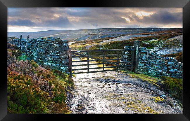 Yorkshire Dales Gate Upper Swaledale Framed Print by Greg Marshall