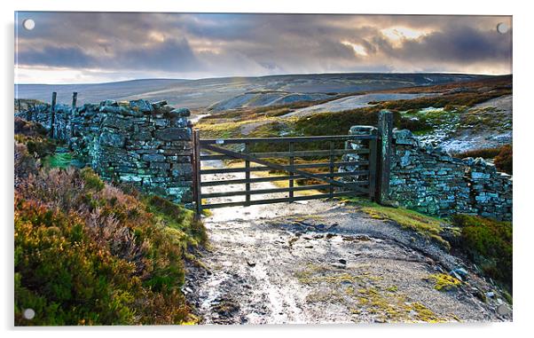 Yorkshire Dales Gate Upper Swaledale Acrylic by Greg Marshall