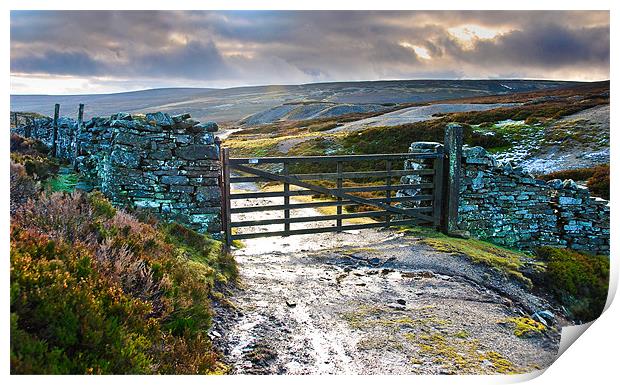 Yorkshire Dales Gate Upper Swaledale Print by Greg Marshall