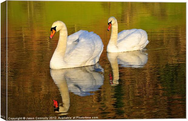 On Golden Pond Canvas Print by Jason Connolly