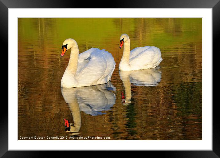 On Golden Pond Framed Mounted Print by Jason Connolly