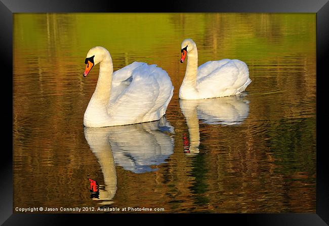 On Golden Pond Framed Print by Jason Connolly