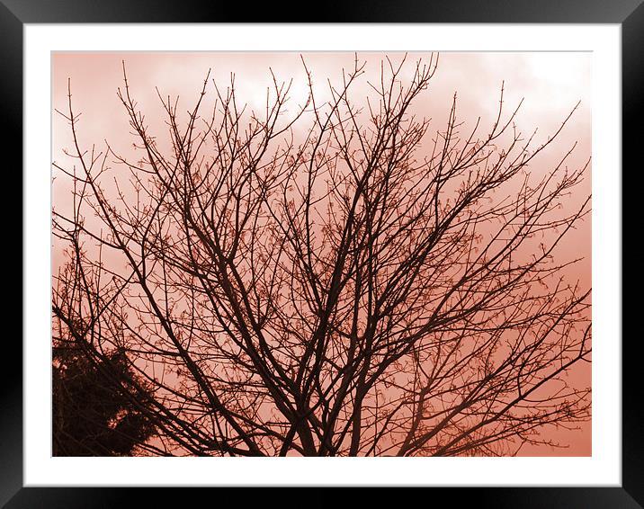 in the shadow of the tree Framed Mounted Print by carin severn