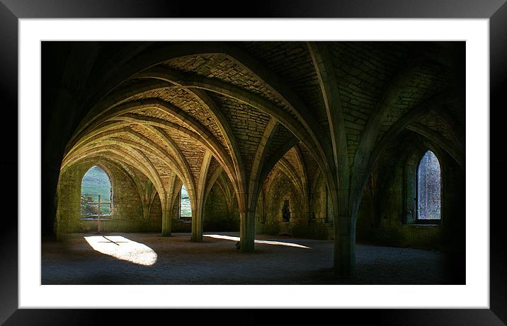 Fountains Abbey Framed Mounted Print by John Dickson