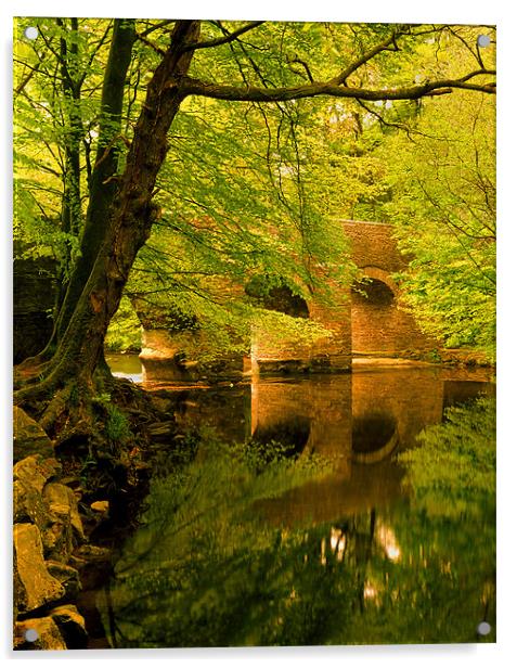River Plym at Plymbridge,Devon Acrylic by Darren Galpin