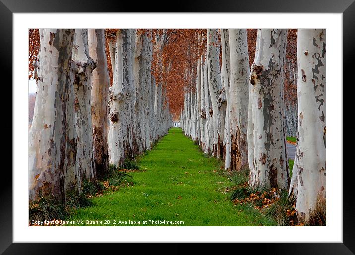 Green pathway with trees Framed Mounted Print by James Mc Quarrie