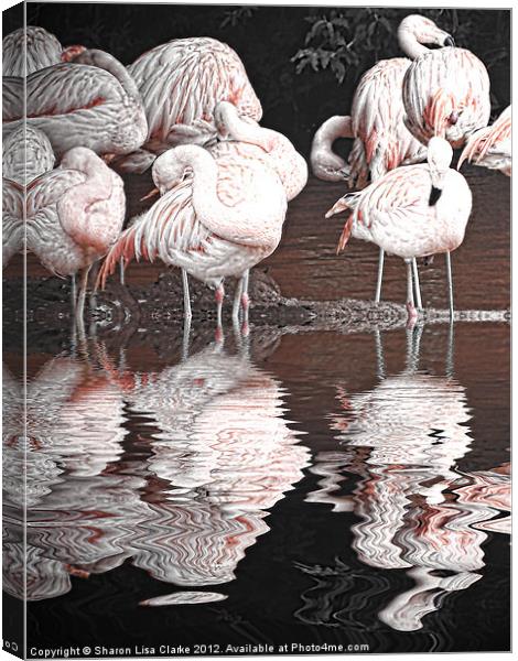 Flamingos Canvas Print by Sharon Lisa Clarke