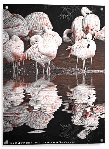 Flamingos Acrylic by Sharon Lisa Clarke