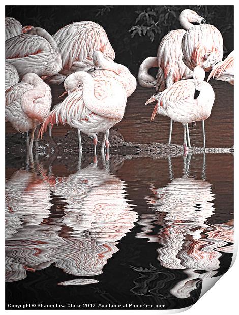 Flamingos Print by Sharon Lisa Clarke