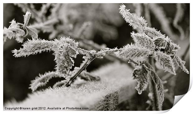 frozen bush Print by karen grist