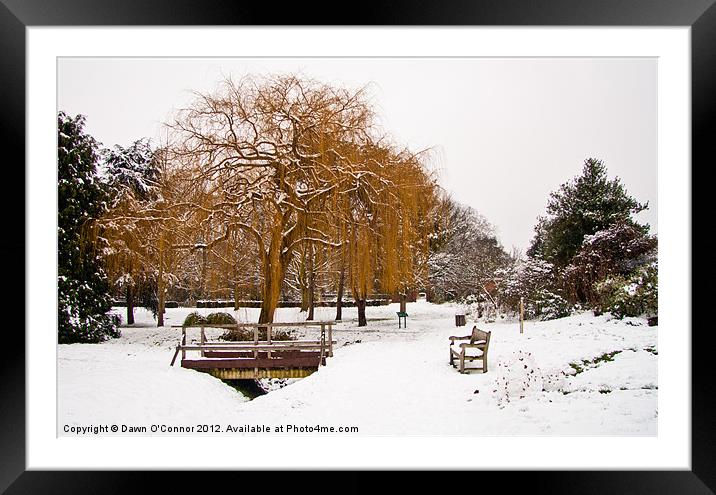 Winter Willow Tree Framed Mounted Print by Dawn O'Connor