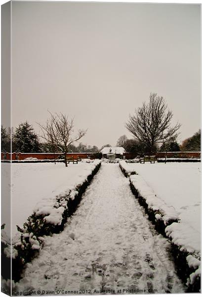 A Snow Covered Path Canvas Print by Dawn O'Connor