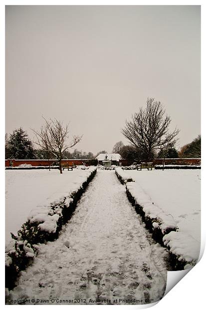 A Snow Covered Path Print by Dawn O'Connor